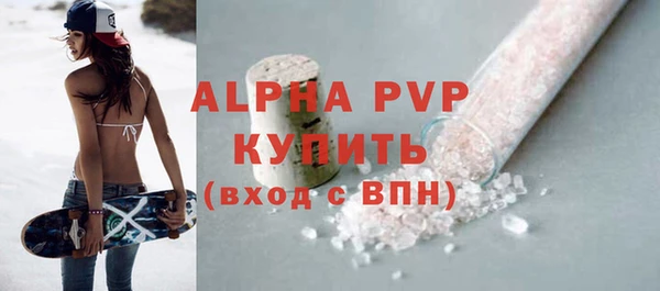стафф Осинники