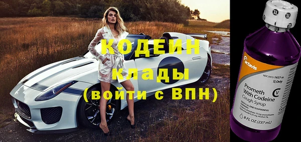 стафф Осинники