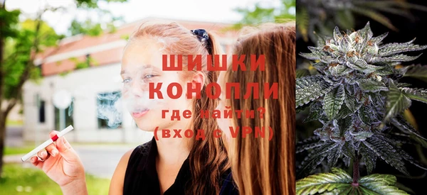 стафф Осинники