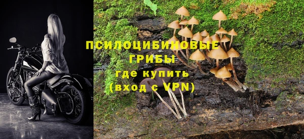 стафф Осинники