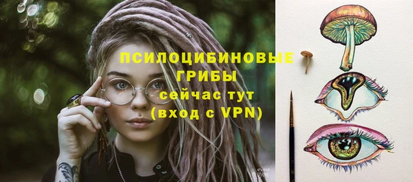 шишки Няндома