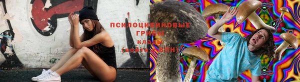 гашик Нягань