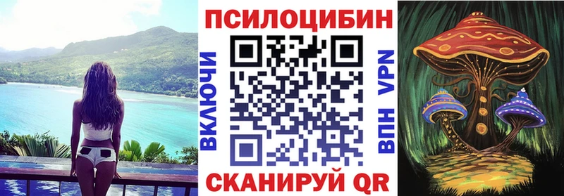 ОМГ ОМГ как войти  Собинка  Псилоцибиновые грибы мицелий 