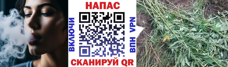 Конопля конопля Собинка